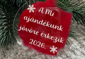 plexi_-_baba_bejelent_dsz_-_4