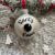 santa_cam_gmb