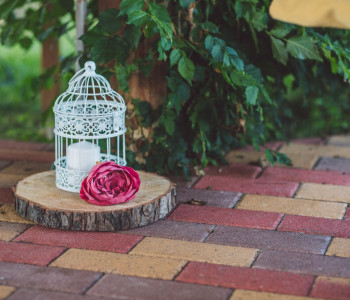 Viki_Peti_Dekor-029-4401