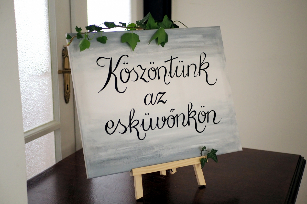 Gyöngyi és Misi